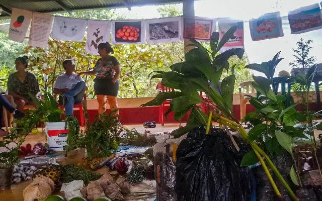 II Encuentro Amazónico de Semillas en Florencia, Caquetá.