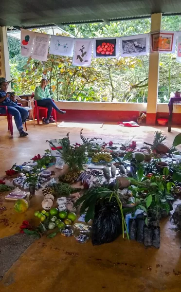 II Encuentro Amazónico de Semillas