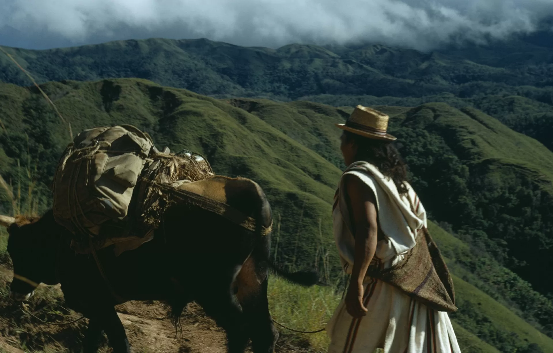 Indígena arhuaco transportando alimentos en la Sierra Nevada de Santa Marta