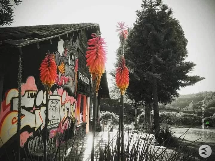 Casa de los trazos Ipiales