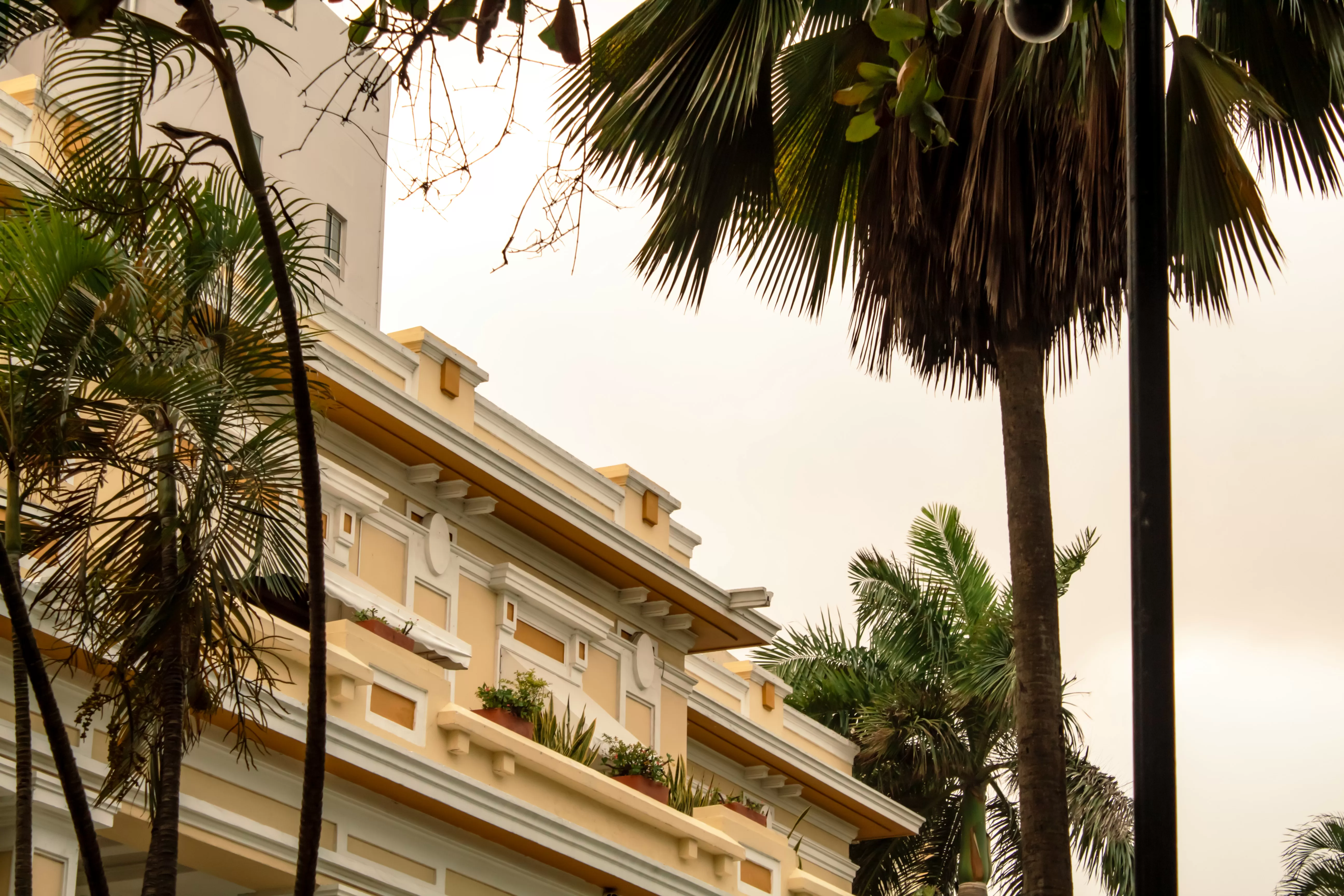 Barrio El Prado, Barranquilla- Shallis Palomino