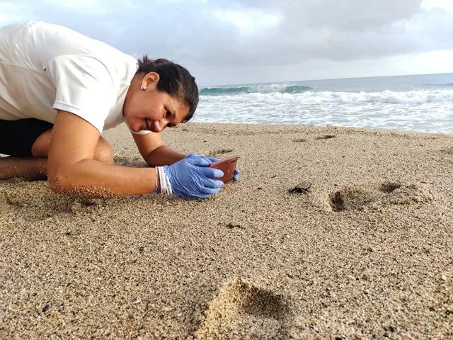 Una mujer tomando una foto de una huella dejada por una tortuga