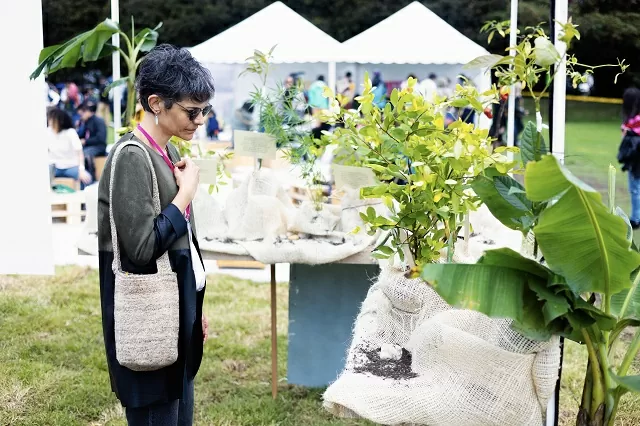Una mujer observando una planta 