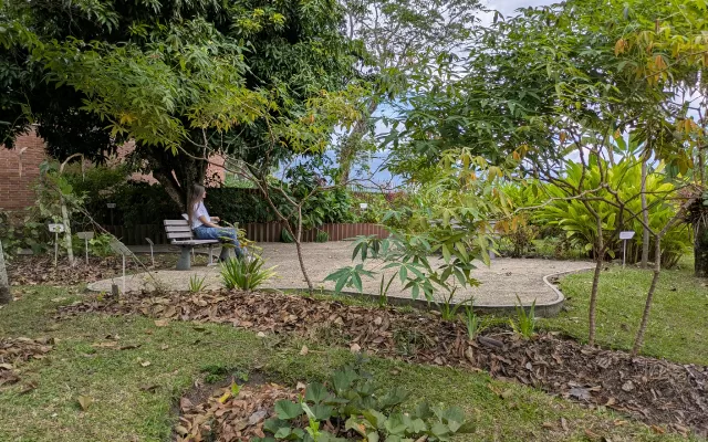 Jardín Arqueobotánico del Museo del Oro Quimbaya.