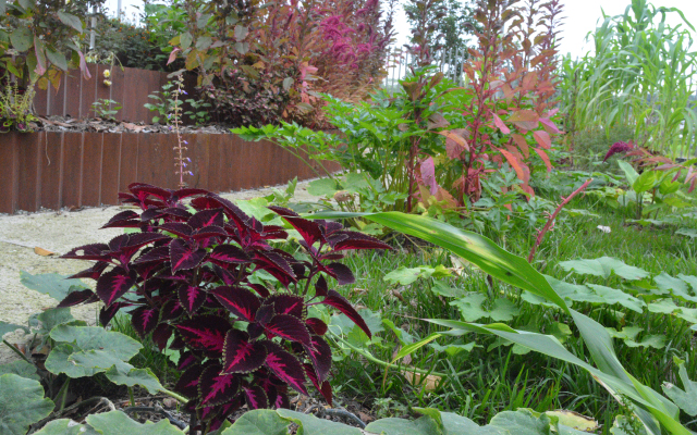 Jardín Arqueobotánico del Museo del Oro Centro Cultural de Armenia.