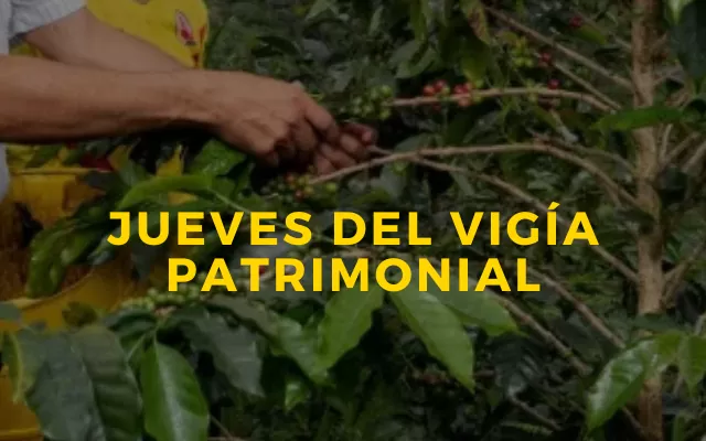 Jueves del Vigía Patrimonial