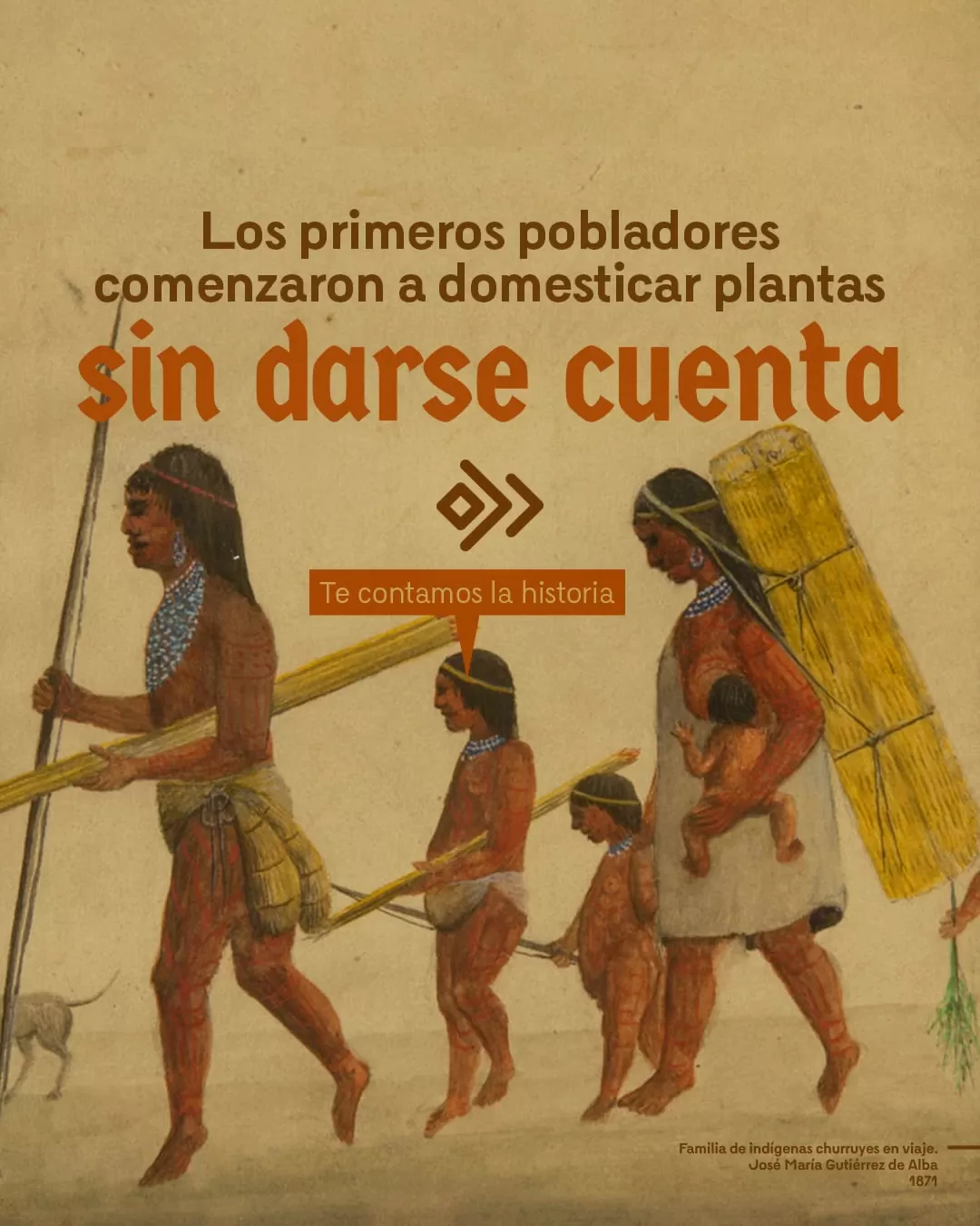 Los primeros pobladores comenzaron a domesticar plantas sin darse cuenta...