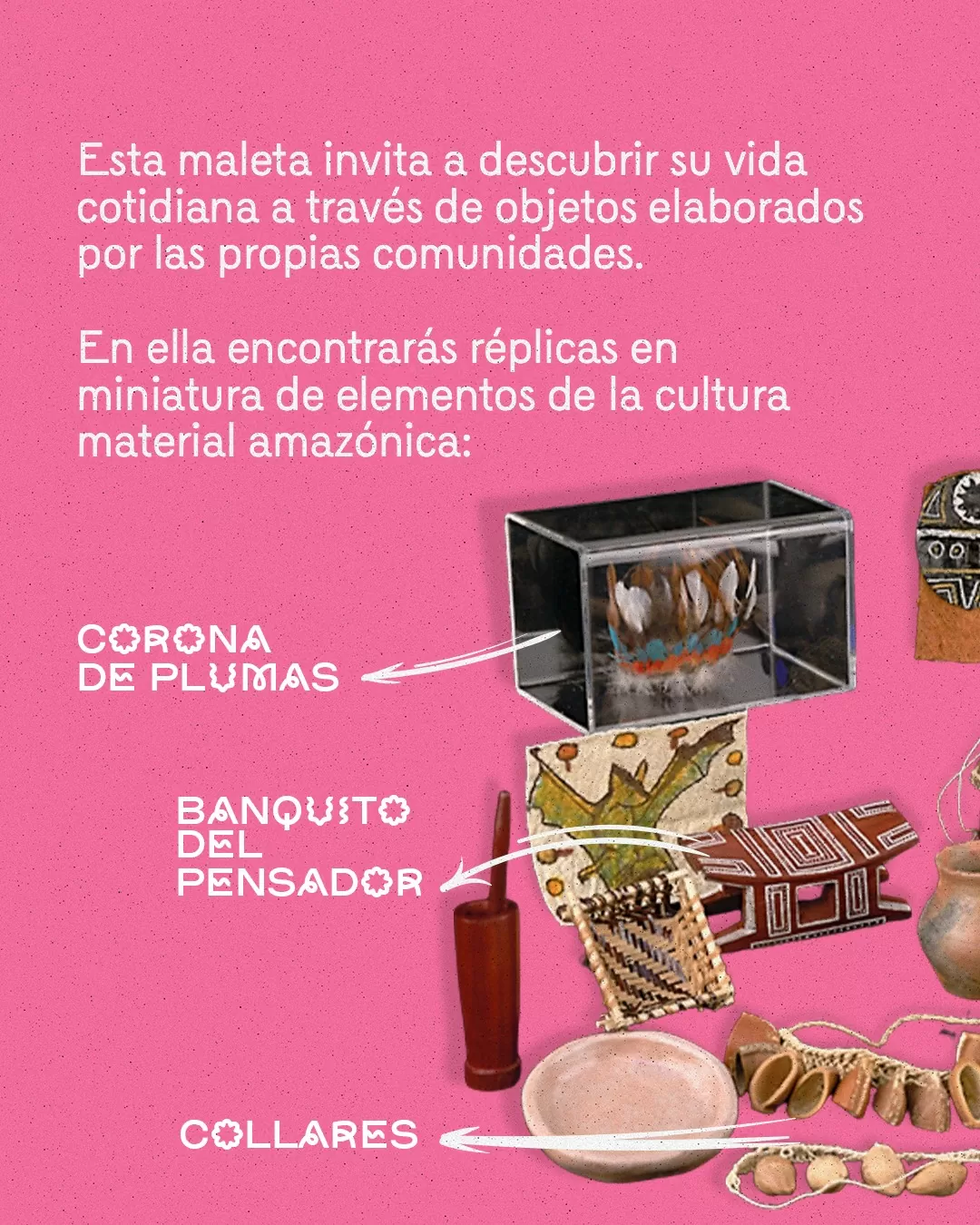 La maleta didáctica Amazonas