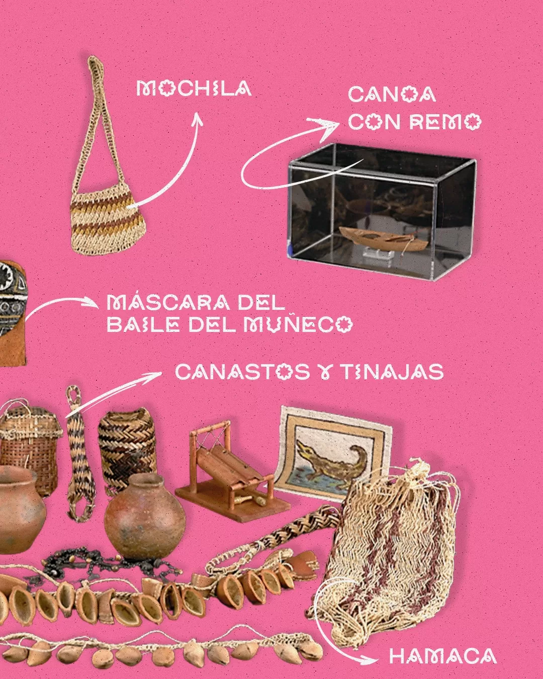 La maleta didáctica Amazonas