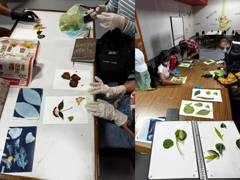 Laboratorio de arte botánico Rizoma