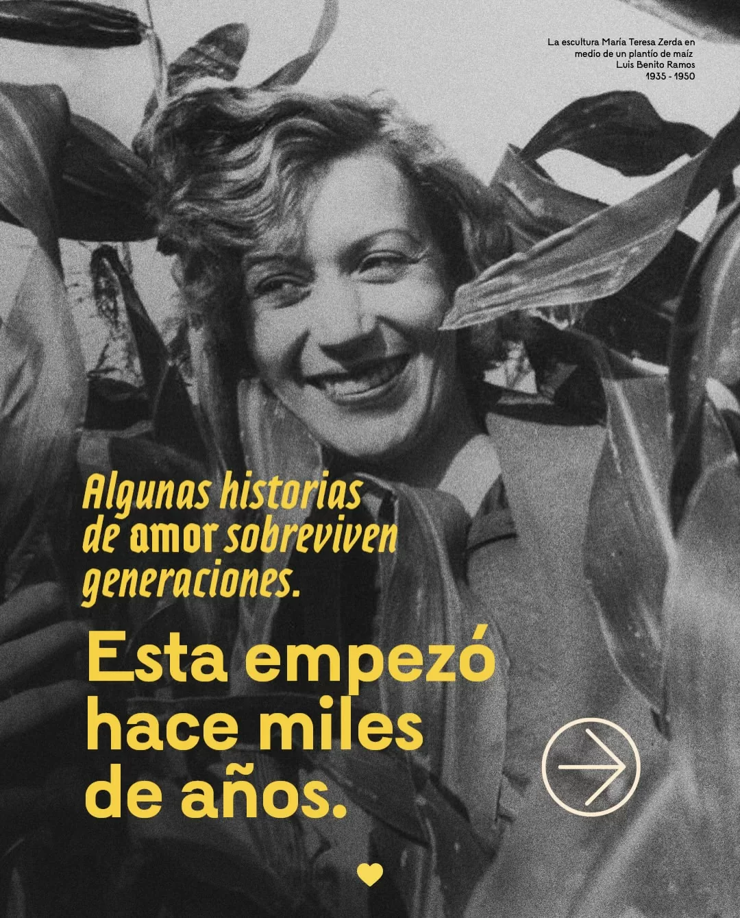 Algunas historias de amor sobreviven generaciones.