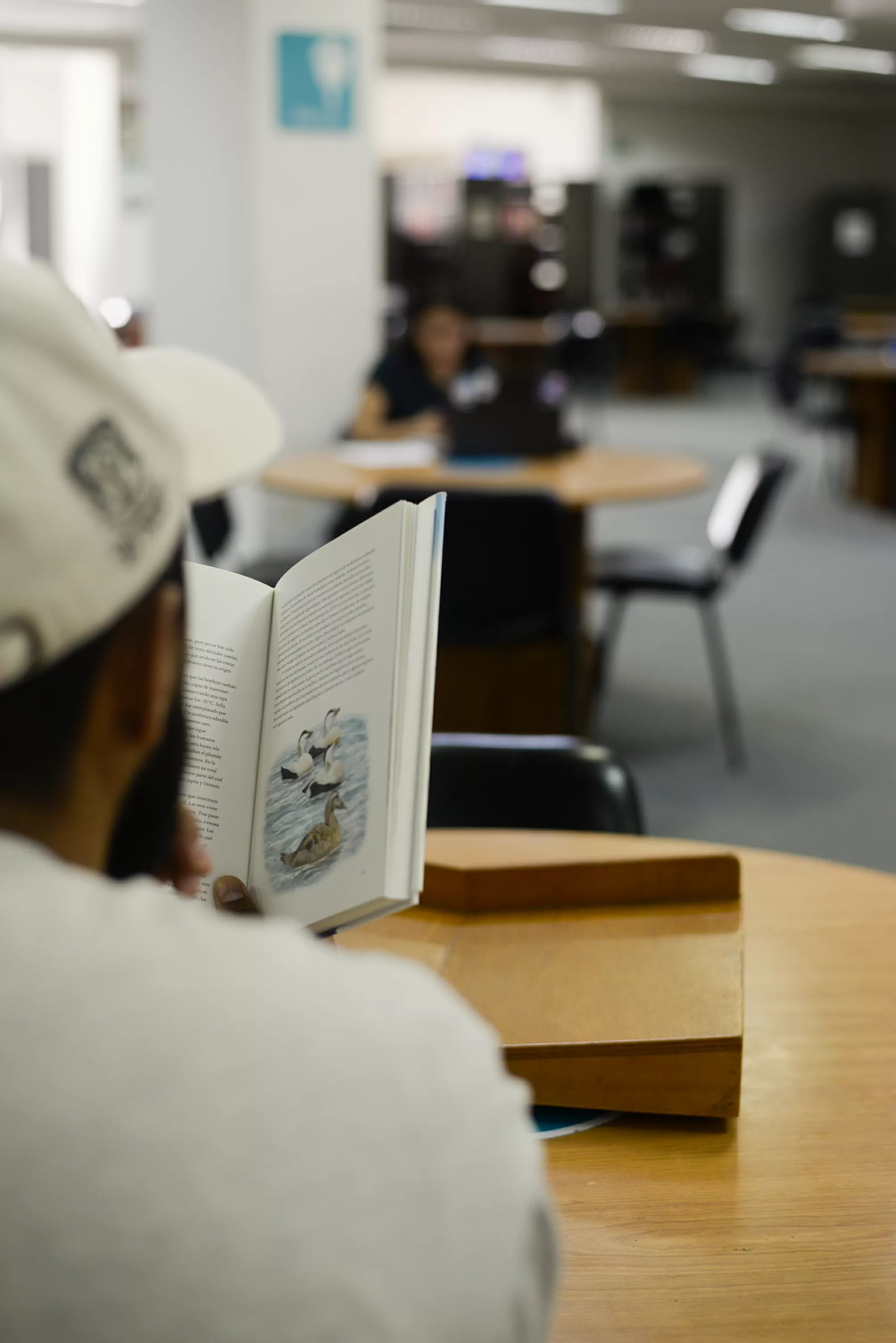 leer cuentos