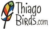 Logo_Thiago_Birds_170x104 px