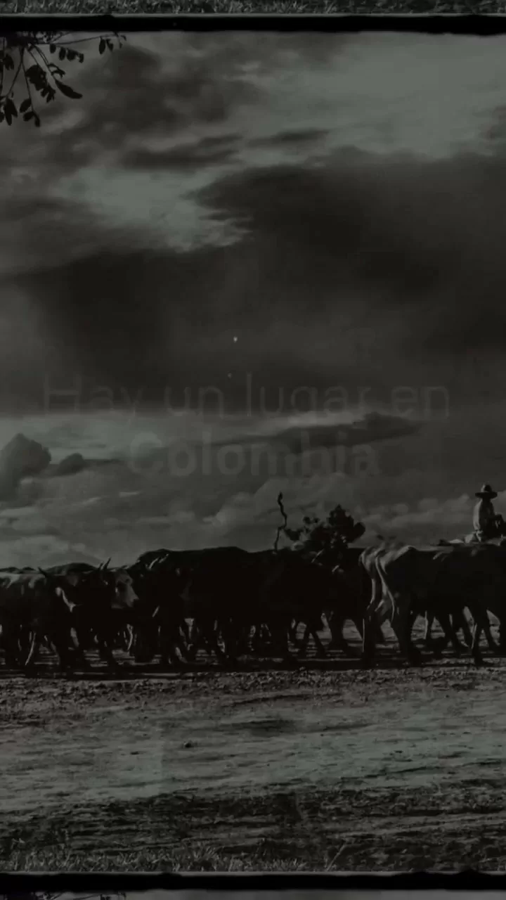 Imagen de los Llanos Orientales de Colombia