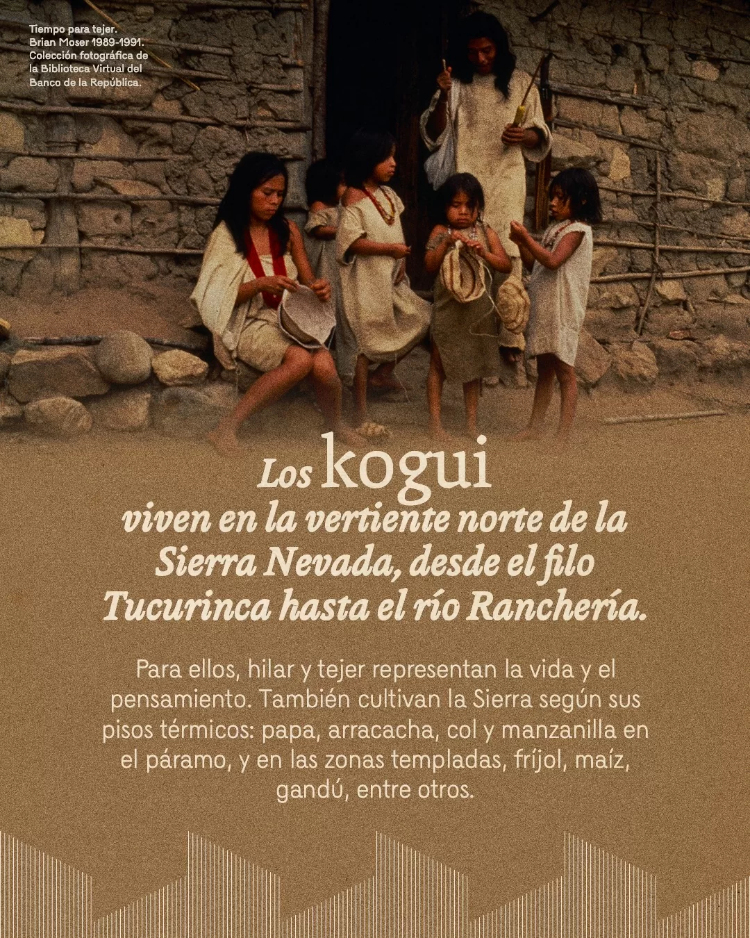 Fotografía de comunidad indígena y el texto: Los kogui viven en la vertiente norte de la Sierra Nevada