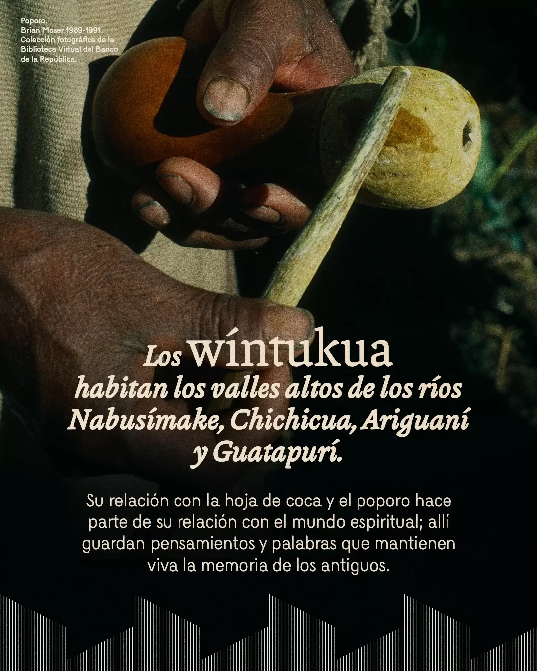Fotografía de poporo y el texto: Los wíntukua habitan los valles altos de los ríos Nabusímake, Chichicua, Ariguaní y Guatapurí