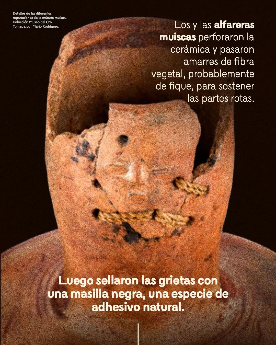 Imagen de múcura muisca y el texto: Los y las alfareras muiscas perforaron la cerámica y pasaron amarres de fibra vegetal, probablemente de fique, para sostener las partes rotas 