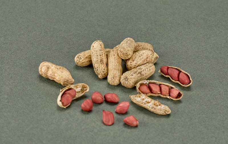 Vainas y semillas de maní (Arachis hypogaea).