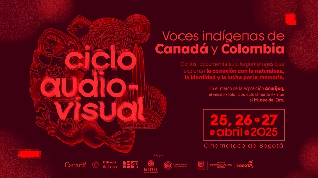 Banner publicitario ciclo audiovisual