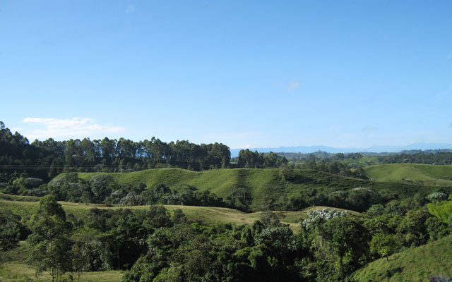 Terrazas artificiales arqueológicas, Tribunas