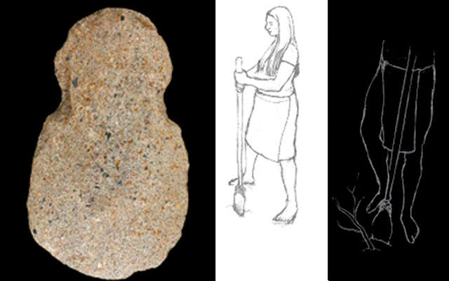 Azada multifuncional del Cauca Medio