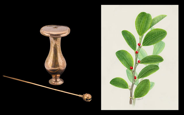 Poporo Cauca Medio y hojas de coca