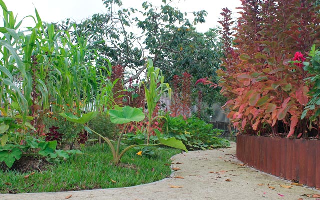 Jardín arquobotánico