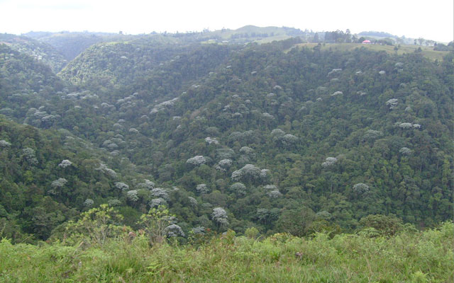 Cañón del río Barbas, Pereira-Filandia.