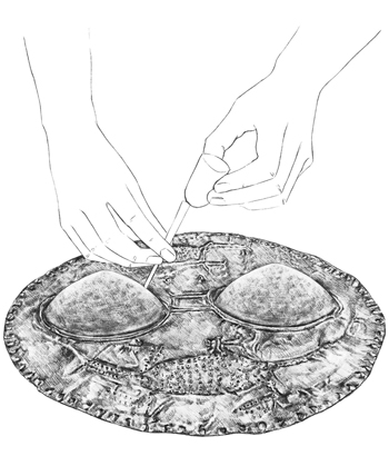 Ilustración martillado.