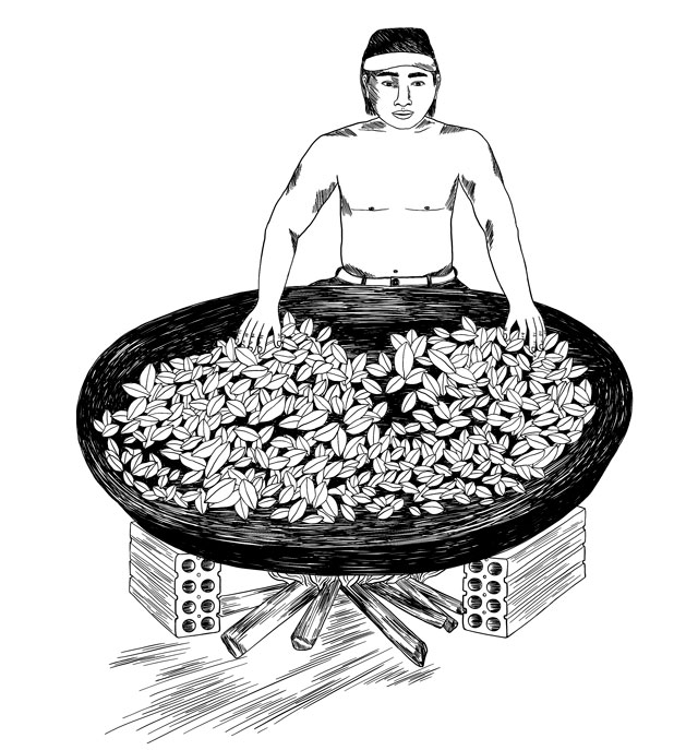 Ilustración del proceso de tostar hoja de coca
