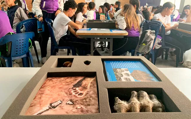 Maleta didáctica Tolima