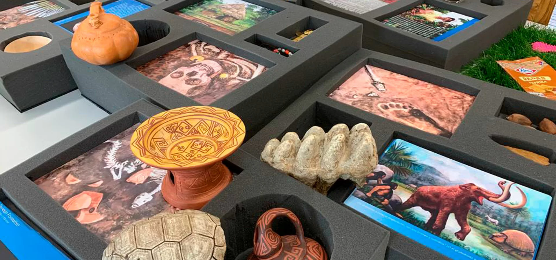 Aspecto de la maleta didáctica Tolima