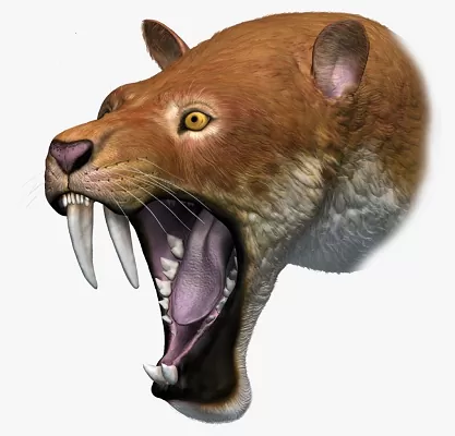 marsupial dientes de sable