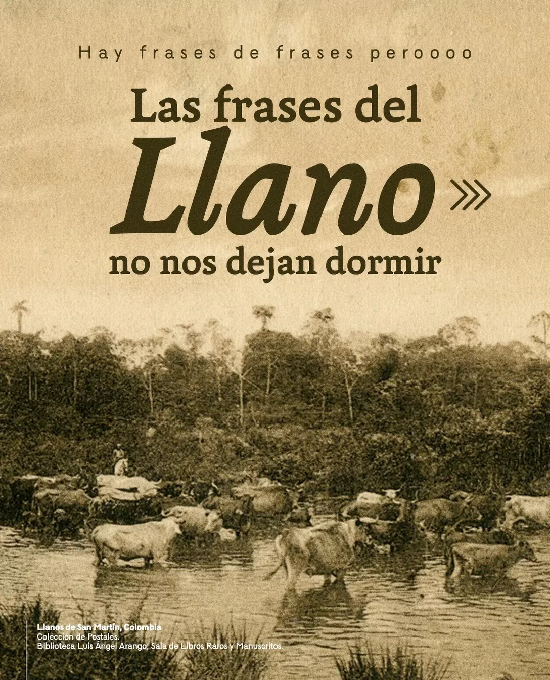 Hay frases de frases pero las frases del Llano no nos dejan dormir.