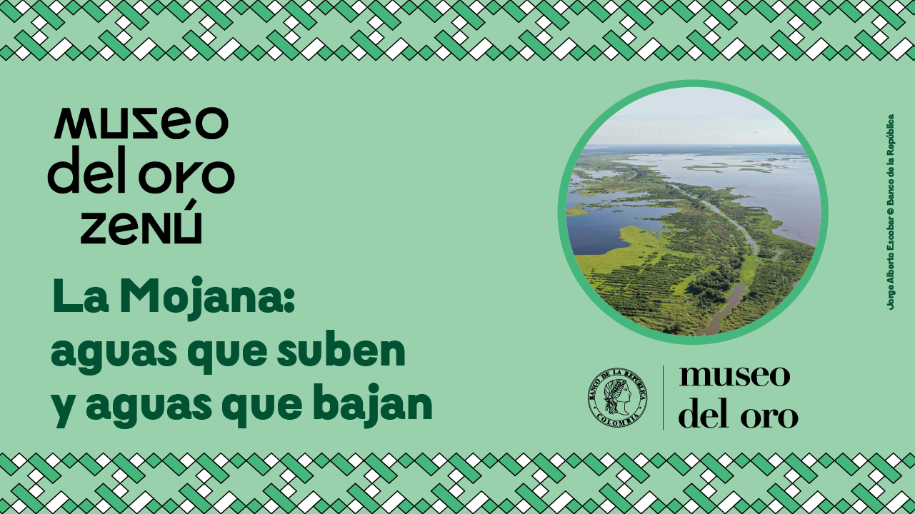 La mojana 