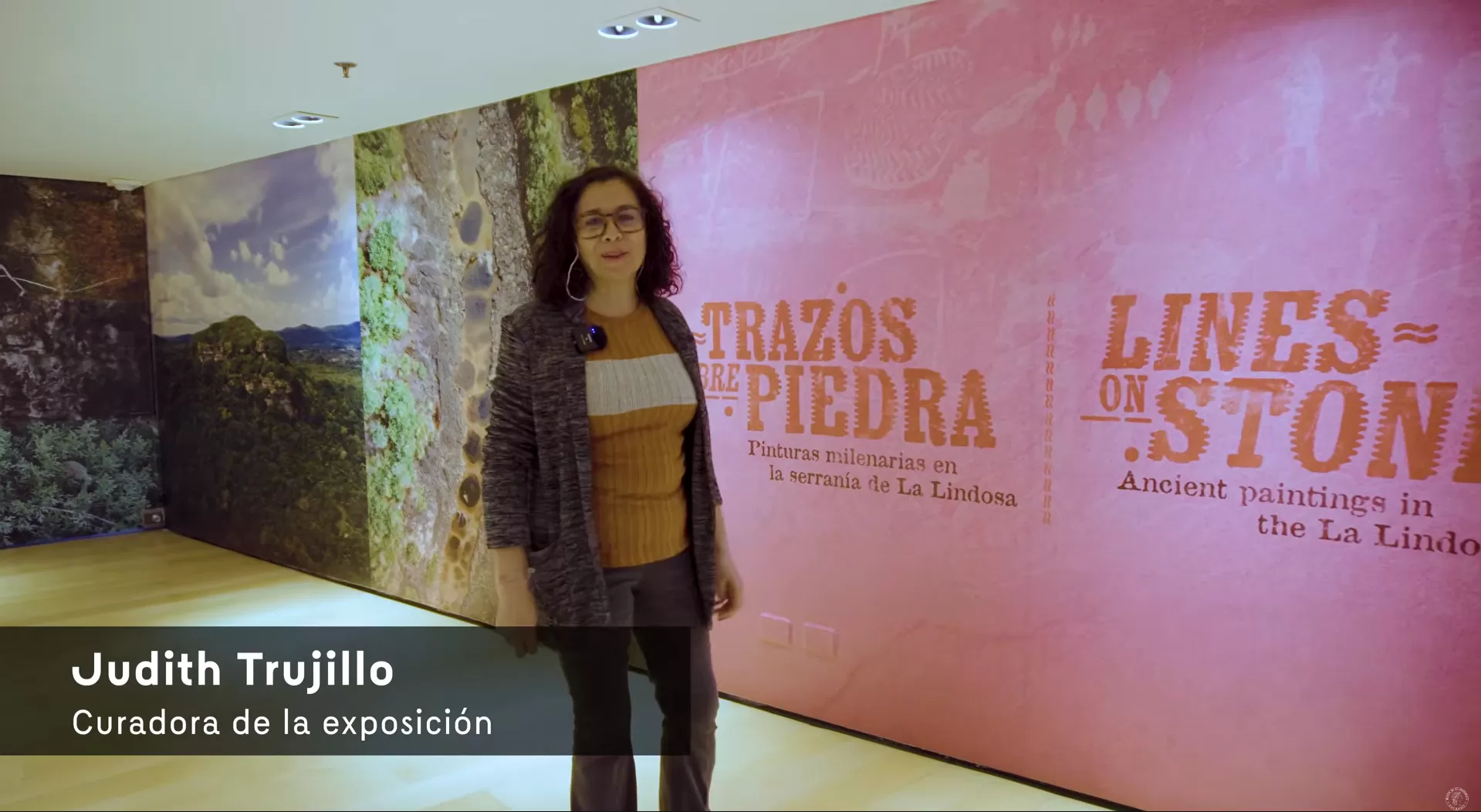 ¿Cómo se hicieron las pinturas rupestres de la serranía de La Lindosa? | Visita guiada