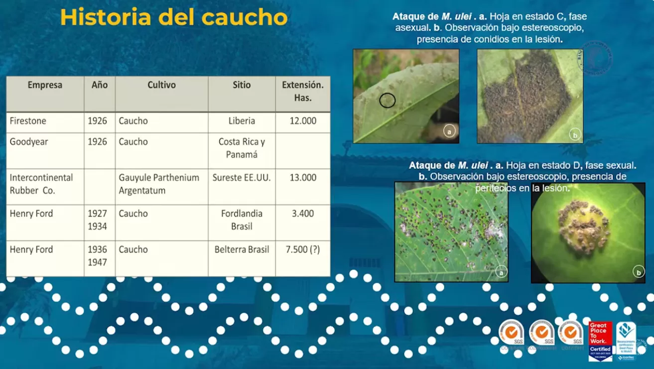 Historia del Caucho en el Caquetá | Conferencia