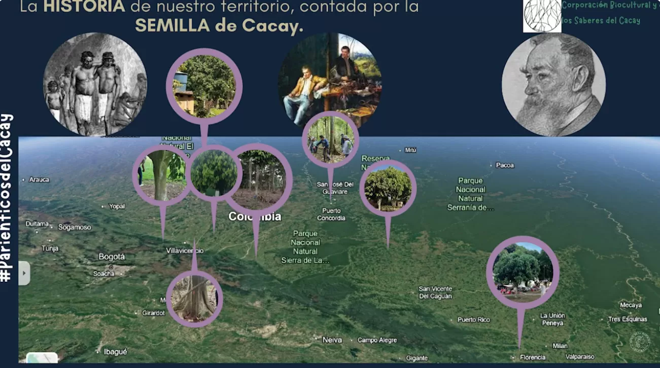 Memoria y apropiación alrededor del Cacay en la Orinoquía | Conferencia