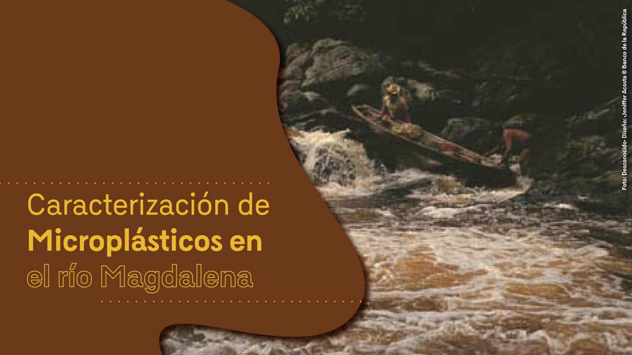 micro plásticos en el río Magdalena neiva