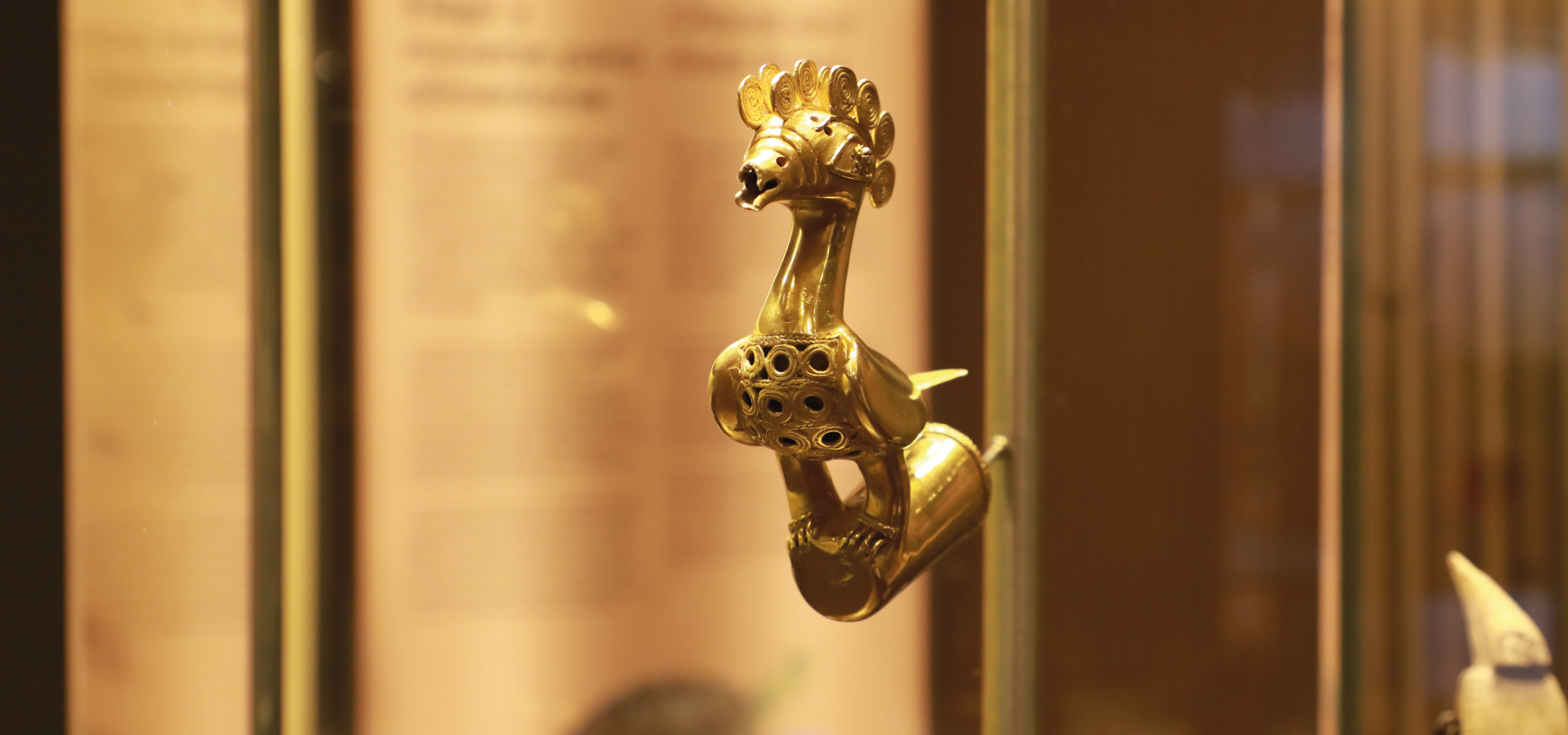 Museo del Oro Zenú | La Red Cultural del Banco de la República