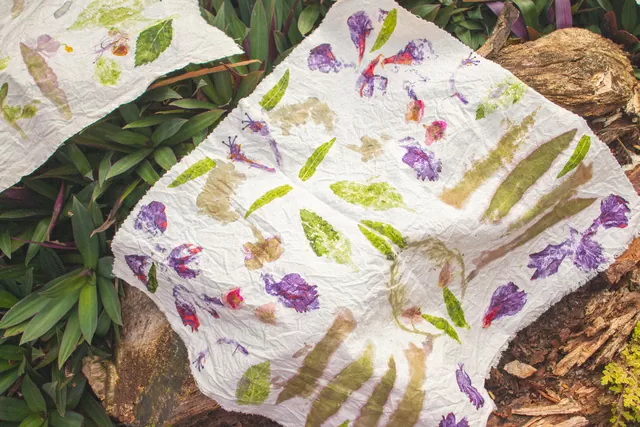 Jardines de Bojayá Ecologias textiles