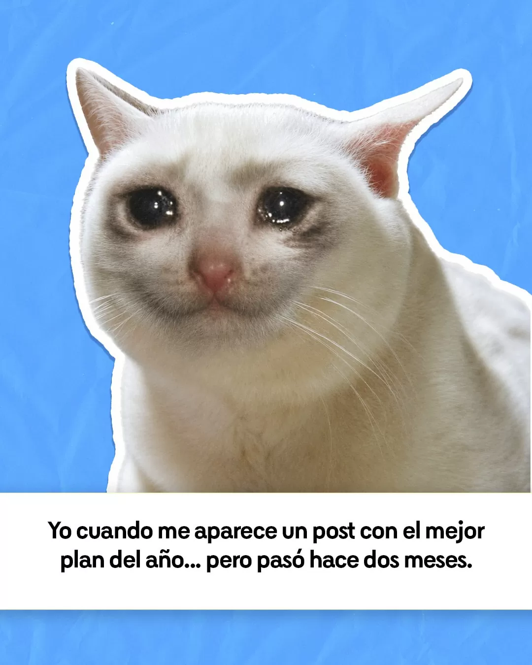 Yo cuando me aparece un post con el mejor plan del año... pero pasó hace dos meses.