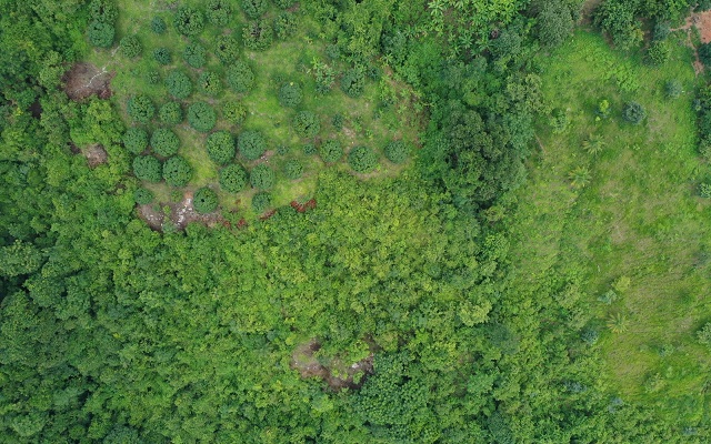 Vista aérea del paisaje de la Sierra Nevada de Santa Marta