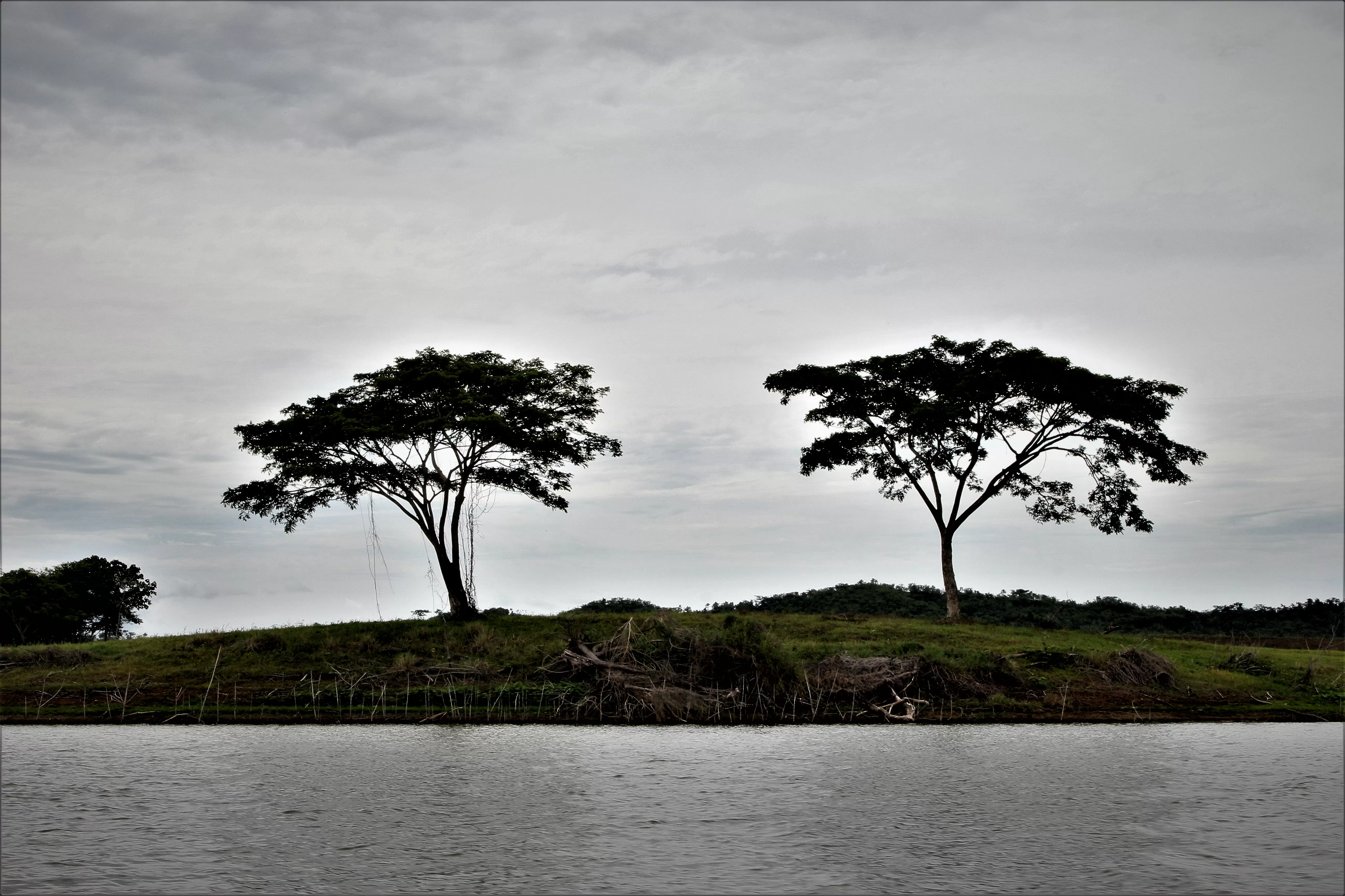 paisaje de rio
