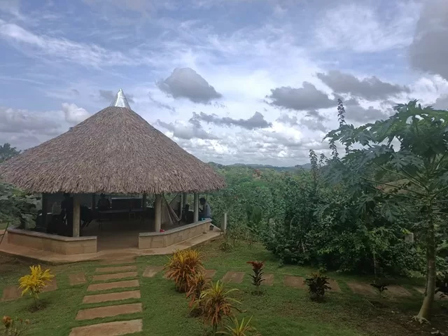 kiosco de palma y paisaje