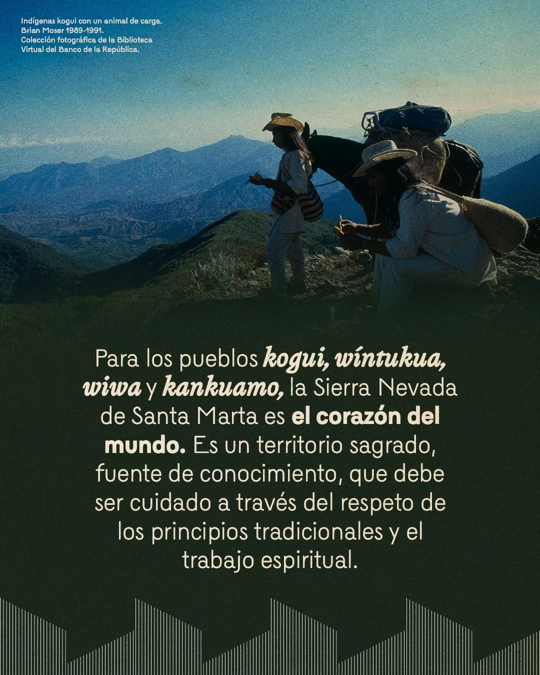 Fotografía de indígena kogui con animal de carga y el texto: Para los pueblos kogui, wíntukua, wiwa y kankuamo, la Sierra Nevada de Santa Marta es el corazón del mundo