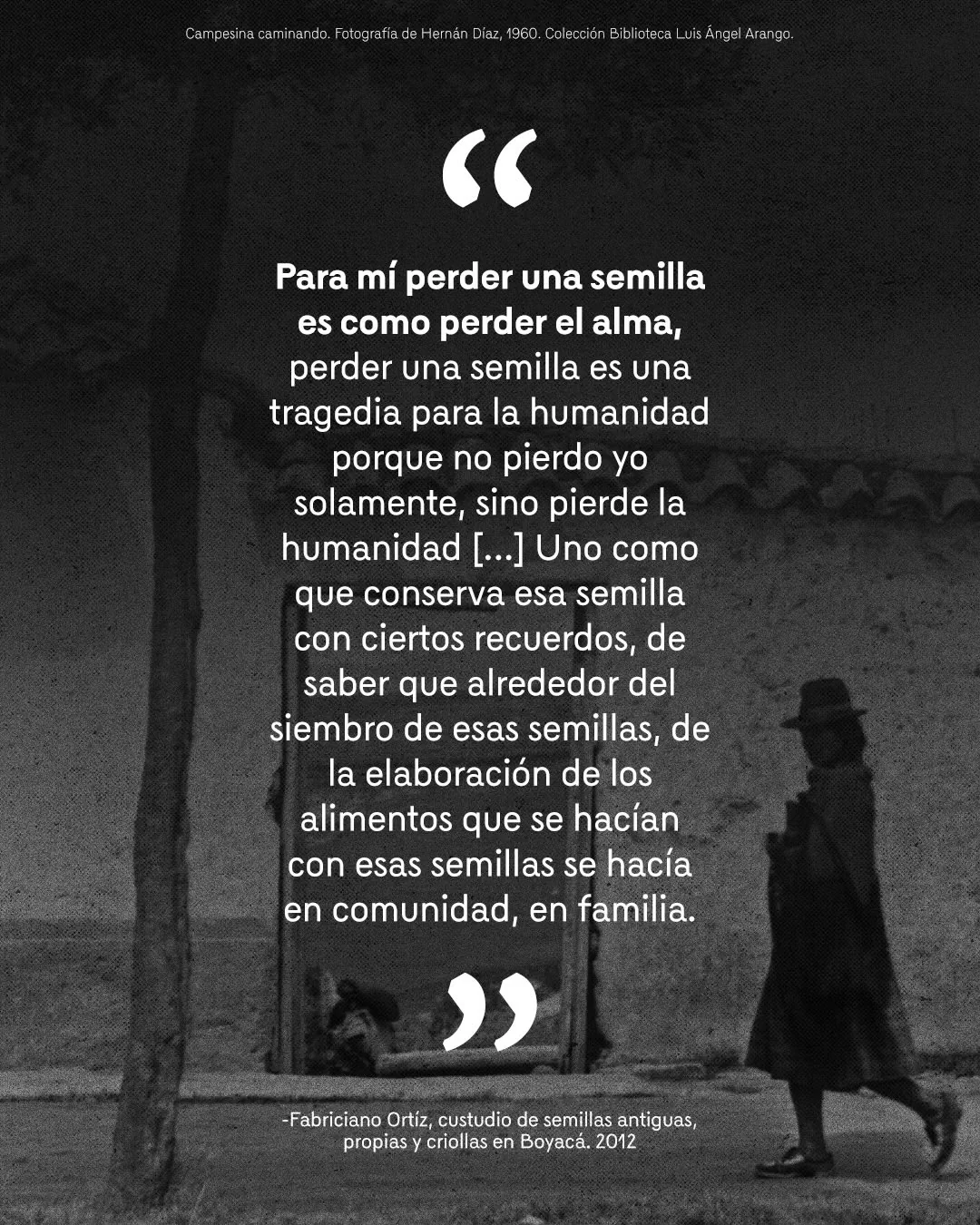 Fotografía de campesina caminando y el texto: Para mí perder una semilla es como perder el alma, perder una semilla es una tragedia para la humanidad porque no pierdo yo solamente, sino pierde la humanidad