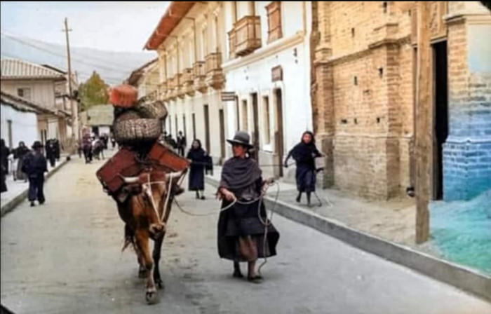 Pasto antiguo. Siglo XX