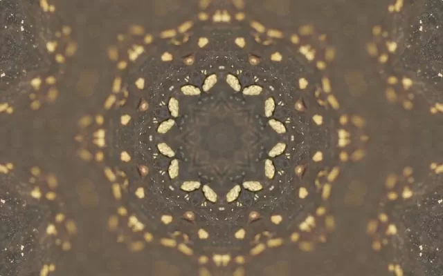 Patrón Mono, Carolina Caycedo