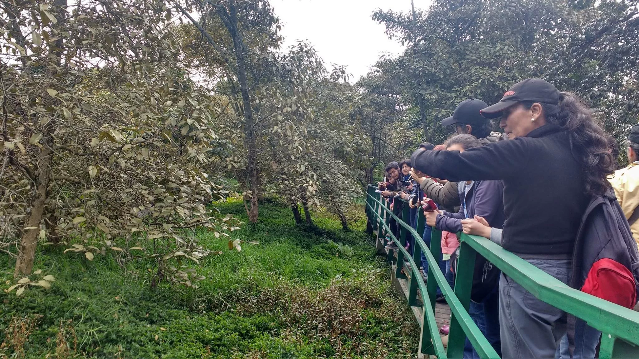 Fotografía de personas caminando en el Humedal Córdoba